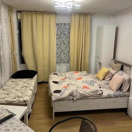 Pensiunea Casa Mara Maison d'hôtes 4*