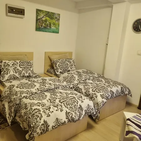 ゲストハウス Pensiunea Casa Mara ブカレスト