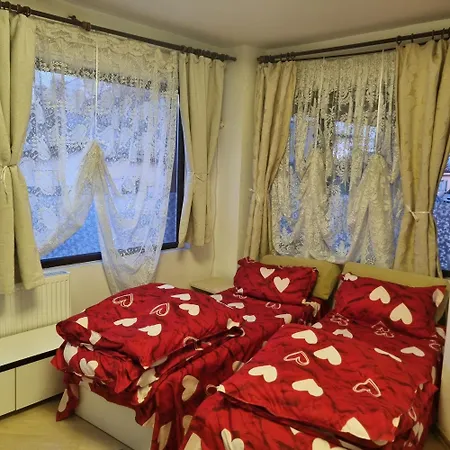 Πανσιόν Pensiunea Casa Mara 4*