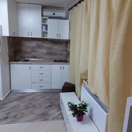 Maison d'hôtes Pensiunea Casa Mara Bucarest