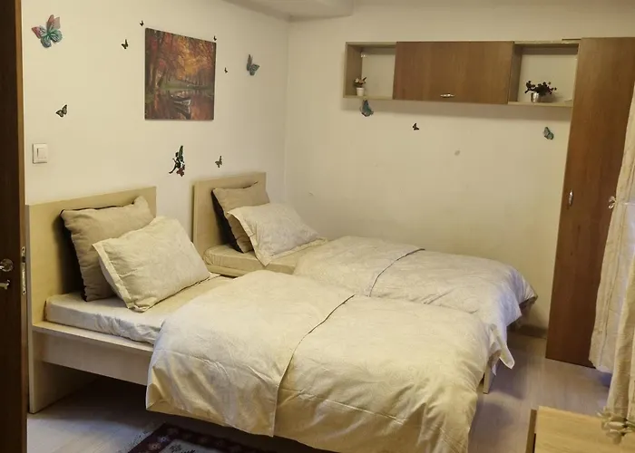 Pensiunea Casa Mara Πανσιόν Βουκουρέστι