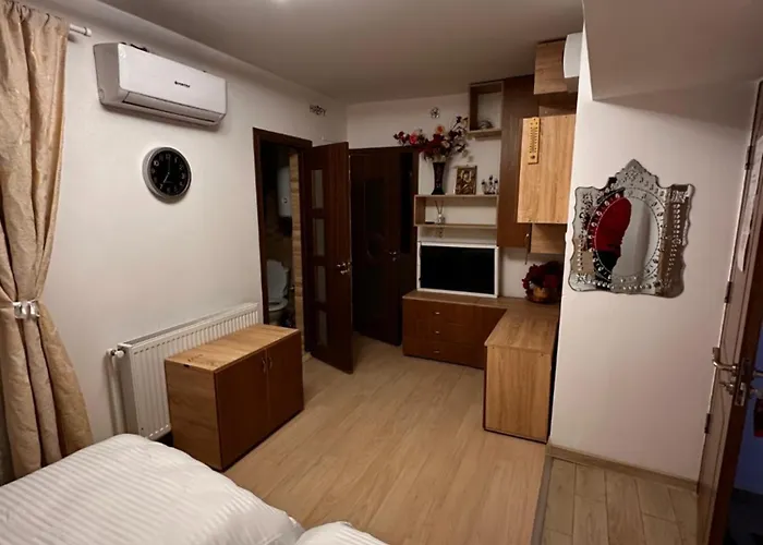 Pensiunea Casa Mara Boekarest