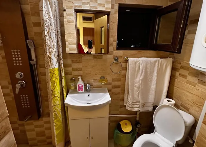 Gasthuis Pensiunea Casa Mara 3*