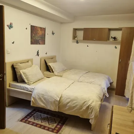 Pensiunea Casa Mara 招待所 布加勒斯特