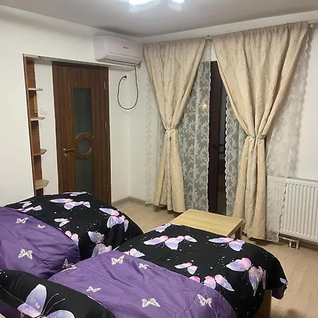 Pensiunea Casa Mara 4* Bukurešť