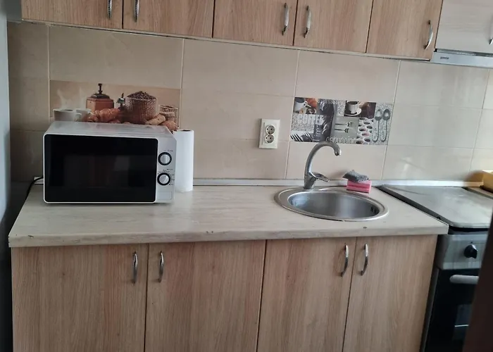 Pensiunea Casa Mara 4*