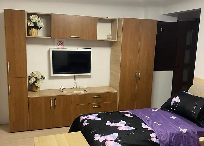 Pensiunea Casa Mara Bukarest