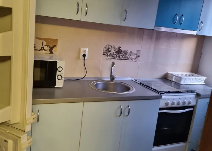Pensionat Pensiunea Casa Mara Bukarest