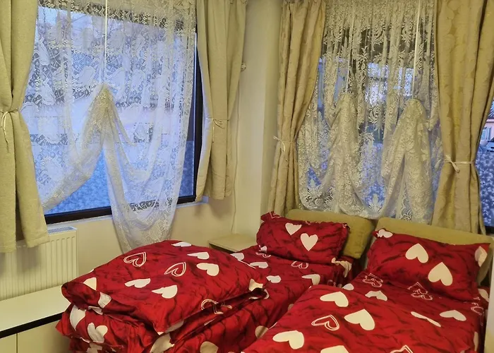 Pensionat Pensiunea Casa Mara 3*