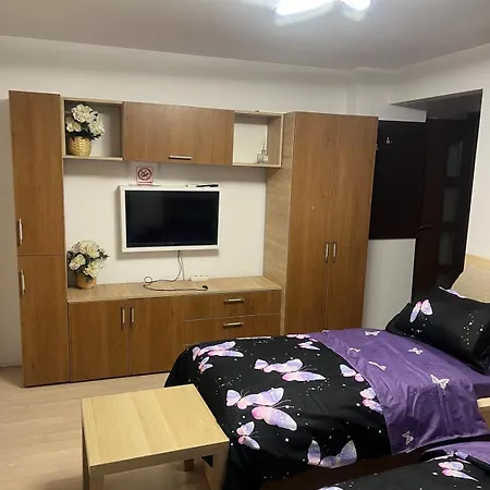 Pensiunea Casa Mara Bukarest